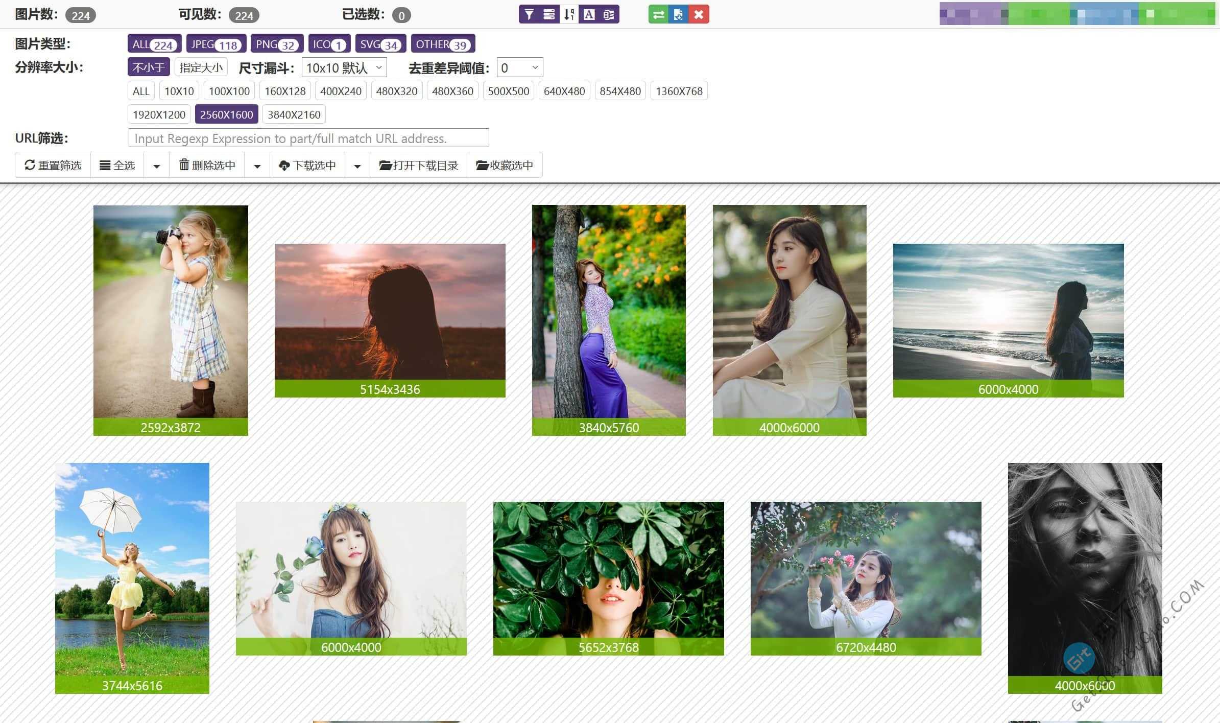 网站图片批量下载工具,支持尺寸、分辨率、正则URL过滤和递增链接提取-第1张-Get巧不巧 网站图片批量下载工具,支持尺寸、分辨率、正则URL过滤和递增链接提取-第1张-Get巧不巧